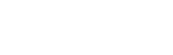 QWorld, Brno University of Technology